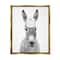 Stupell Industries Donkey Toilet Paper Funny Bathroom Floater Framed Art